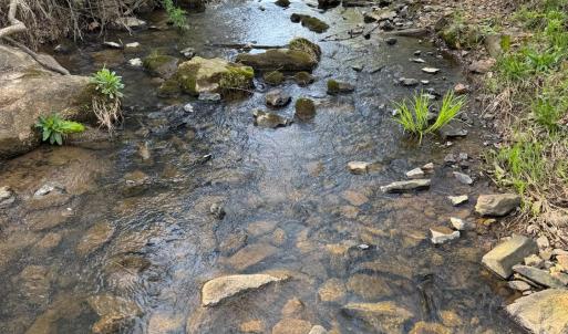 Photo #37 of Old Courthouse Road, Appomattox, VA 39.5 acres