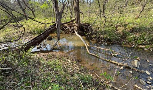 Photo #38 of Old Courthouse Road, Appomattox, VA 39.5 acres