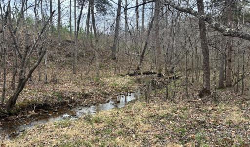 Photo #25 of Old Courthouse Road, Appomattox, VA 39.5 acres