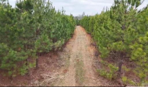 Photo #20 of Old Courthouse Road, Appomattox, VA 39.5 acres