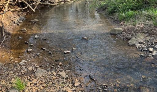 Photo #35 of Old Courthouse Road, Appomattox, VA 39.5 acres