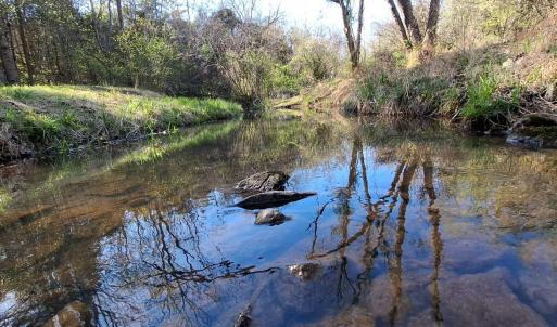 Photo #1 of Old Courthouse Road, Appomattox, VA 39.5 acres