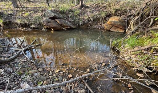 Photo #43 of Old Courthouse Road, Appomattox, VA 39.5 acres