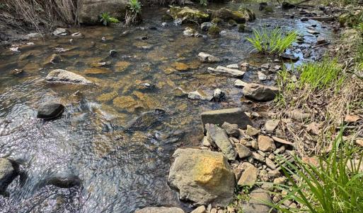 Photo #32 of Old Courthouse Road, Appomattox, VA 39.5 acres