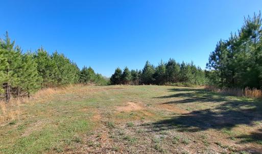 Photo #52 of Old Courthouse Road, Appomattox, VA 39.5 acres