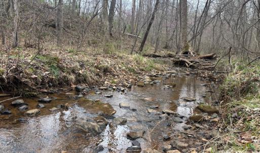 Photo #29 of Old Courthouse Road, Appomattox, VA 39.5 acres