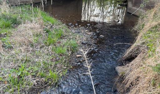 Photo #46 of Old Courthouse Road, Appomattox, VA 39.5 acres