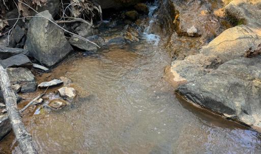 Photo #45 of Old Courthouse Road, Appomattox, VA 39.5 acres