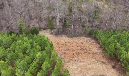 Photo #14 of Old Courthouse Road, Appomattox, VA 39.5 acres