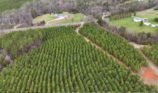 Photo #12 of Old Courthouse Road, Appomattox, VA 39.5 acres