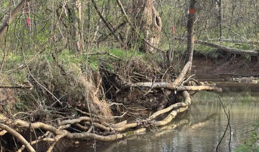 Photo #36 of Old Courthouse Road, Appomattox, VA 39.5 acres