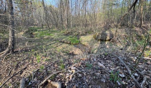 Photo #41 of Old Courthouse Road, Appomattox, VA 39.5 acres