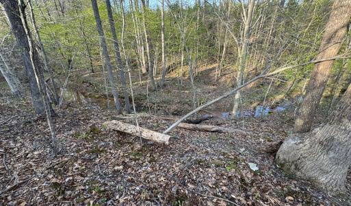 Photo #42 of Old Courthouse Road, Appomattox, VA 39.5 acres