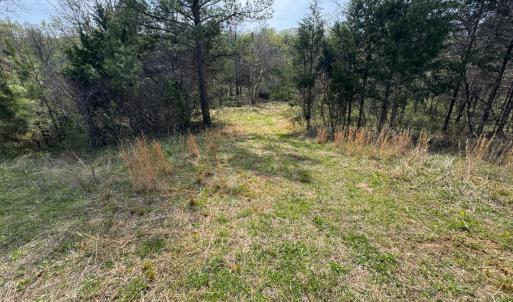 Photo #21 of Old Courthouse Road, Appomattox, VA 39.5 acres
