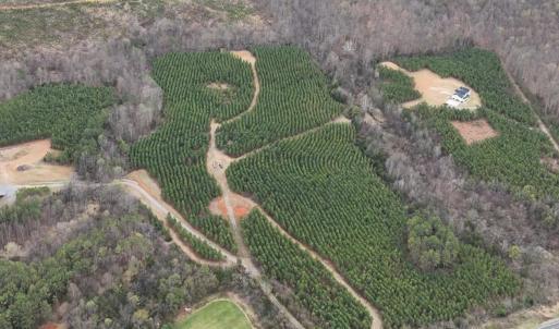 Photo #4 of Old Courthouse Road, Appomattox, VA 39.5 acres
