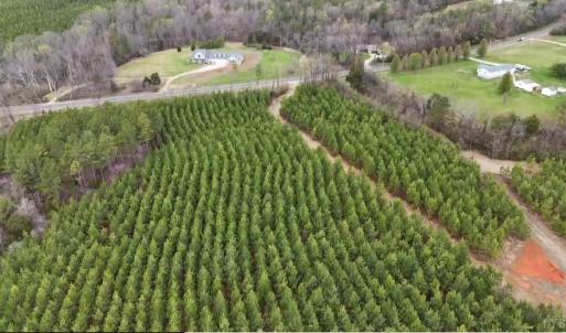 Photo #12 of Old Courthouse Road, Appomattox, VA 39.5 acres