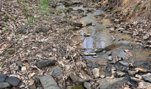 Photo #40 of Old Courthouse Road, Appomattox, VA 39.5 acres