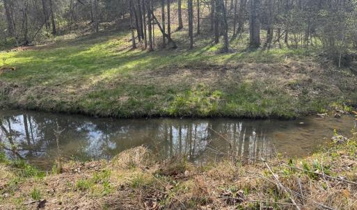 Photo #30 of Old Courthouse Road, Appomattox, VA 39.5 acres