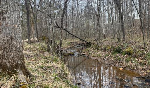 Photo #26 of Old Courthouse Road, Appomattox, VA 39.5 acres