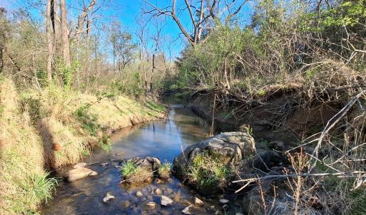Photo #17 of Old Courthouse Road, Appomattox, VA 39.5 acres