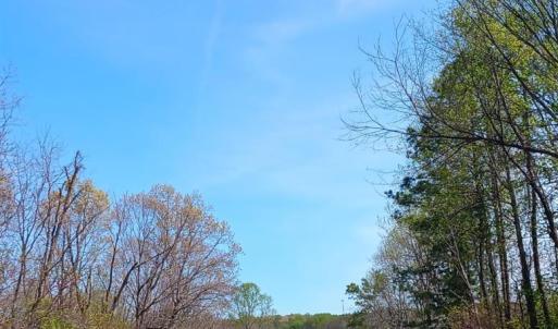 Photo #48 of Old Courthouse Road, Appomattox, VA 39.5 acres