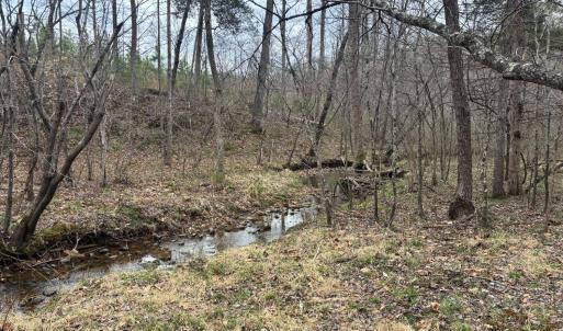 Photo #25 of Old Courthouse Road, Appomattox, VA 39.5 acres
