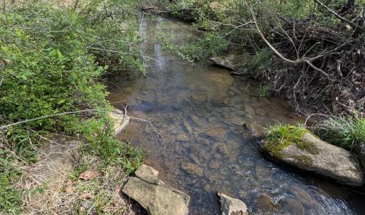 Photo #31 of Old Courthouse Road, Appomattox, VA 39.5 acres