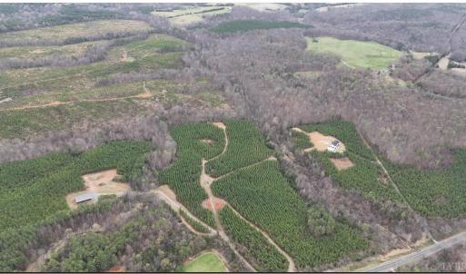 Photo #3 of Old Courthouse Road, Appomattox, VA 39.5 acres
