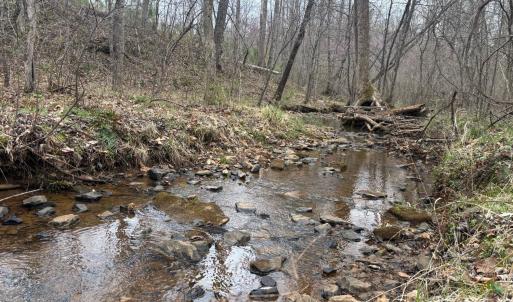 Photo #29 of Old Courthouse Road, Appomattox, VA 39.5 acres