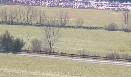 Photo #5 of Wilderness Creek Rd., Monroe, VA 100.0 acres