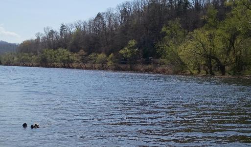 Photo #2 of Wilderness Creek Rd., Monroe, VA 100.0 acres