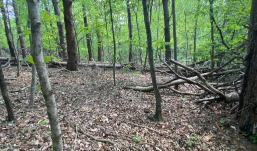 Photo #9 of Misty Mountain Road, Lynch Station, VA 7.8 acres