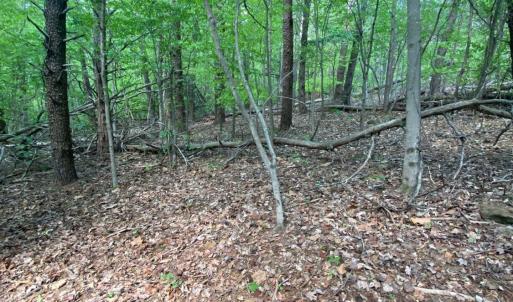 Photo #11 of Misty Mountain Road, Lynch Station, VA 7.8 acres