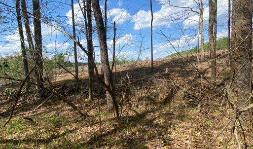 Photo #6 of Misty Mountain Road, Lynch Station, VA 7.8 acres