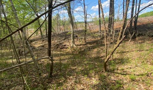 Photo #4 of Misty Mountain Road, Lynch Station, VA 7.8 acres