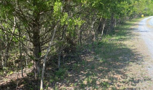 Photo #12 of Misty Mountain Road, Lynch Station, VA 7.8 acres