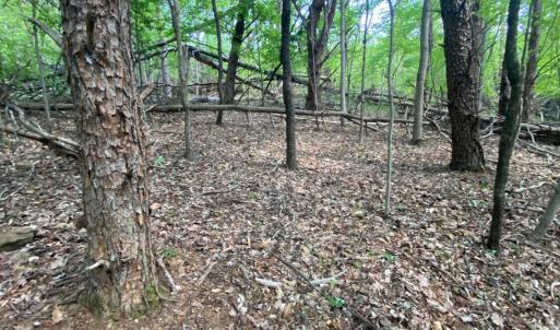 Photo #11 of Misty Mountain Road, Lynch Station, VA 7.8 acres
