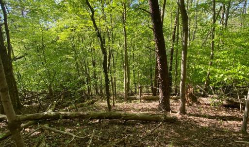 Photo #3 of Misty Mountain Road, Lynch Station, VA 7.8 acres