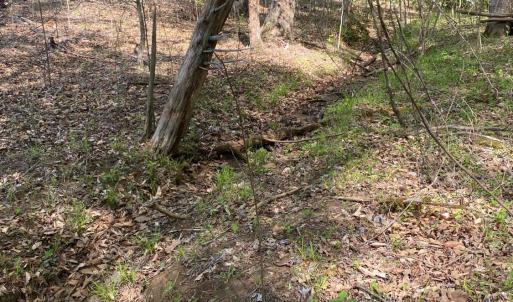 Photo #8 of Misty Mountain Road, Lynch Station, VA 7.8 acres
