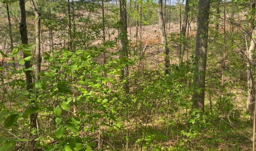Photo #9 of Misty Mountain Road, Lynch Station, VA 7.8 acres
