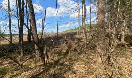 Photo #6 of Misty Mountain Road, Lynch Station, VA 7.8 acres