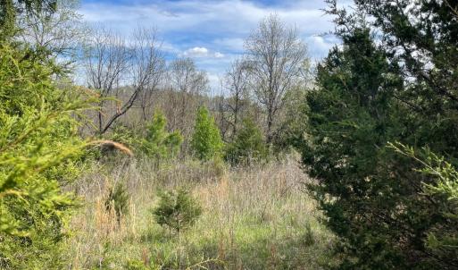 Photo #22 of 10936 Moneta Road, Moneta, VA 11.0 acres