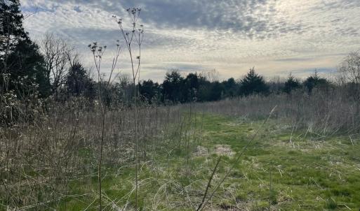 Photo #24 of 10936 Moneta Road, Moneta, VA 11.0 acres