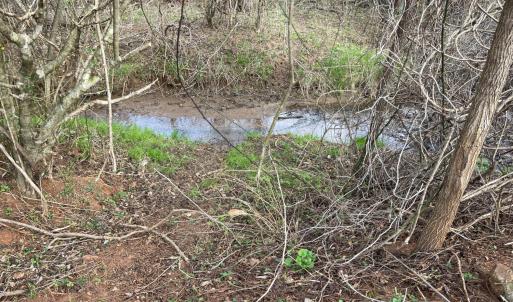 Photo #23 of 10936 Moneta Road, Moneta, VA 11.0 acres