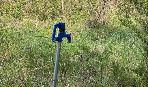 Photo #20 of 10936 Moneta Road, Moneta, VA 11.0 acres