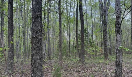 Photo #1 of Farmville Road, Meherrin, VA 12.7 acres