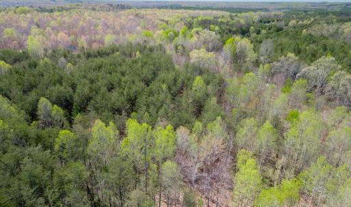 Photo #13 of Lots 7-10 Lewis Ford Road, Brookneal, VA 14.6 acres