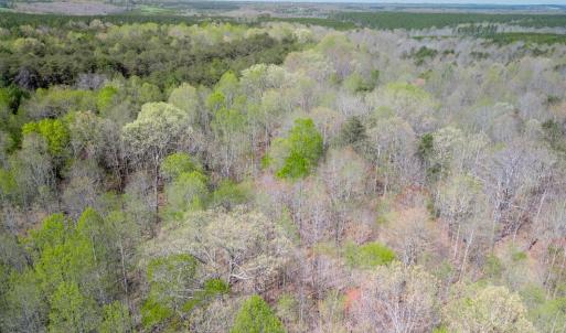 Photo #14 of Lots 7-10 Lewis Ford Road, Brookneal, VA 14.6 acres