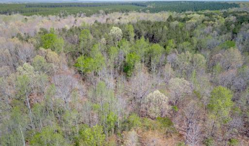 Photo #15 of Lots 7-10 Lewis Ford Road, Brookneal, VA 14.6 acres