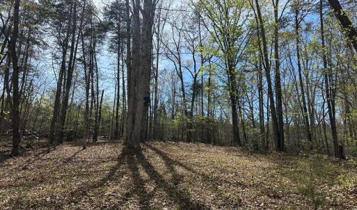 Photo #3 of Gladys Road, Altavista, VA 4.9 acres